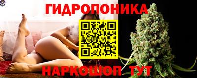 гидра Обнинск